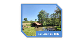 Les Amis du Betz